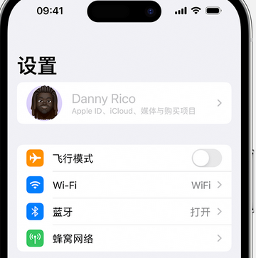 城固appleID维修服务iPhone设置中Apple ID显示为灰色无法使用 