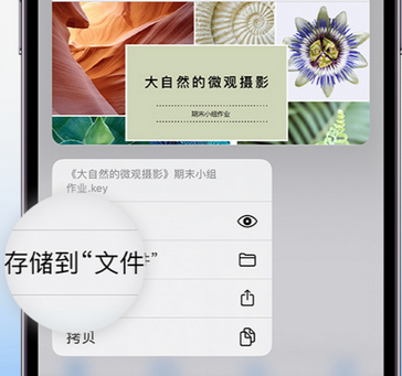 城固apple维修中心分享iPhone文件应用中存储和找到下载文件