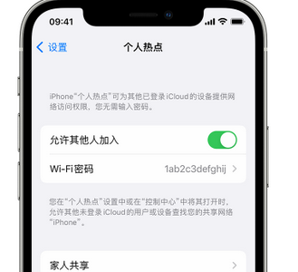 城固apple服务站点分享iPhone上个人热点丢失了怎么办 