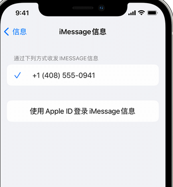 城固apple维修iPhone上无法正常发送iMessage信息 