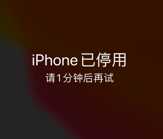 城固苹果手机维修分享:iPhone 显示“不可用”或“已停用”怎么办？还能保留数据吗？ 