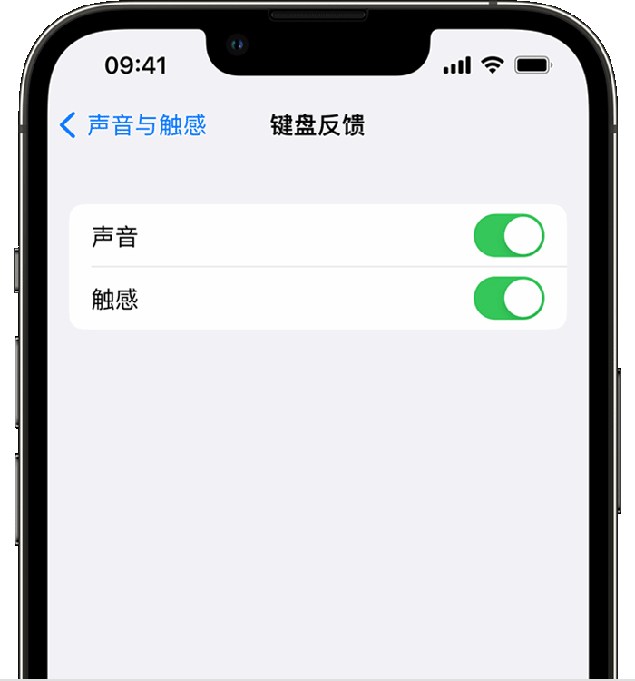 城固苹果14维修店分享如何在 iPhone 14 机型中使用触感键盘 