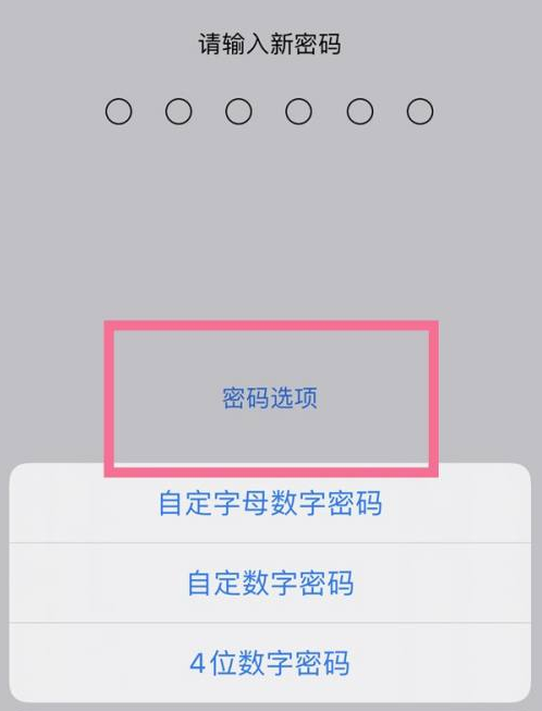 城固苹果14维修分享iPhone 14plus设置密码的方法 