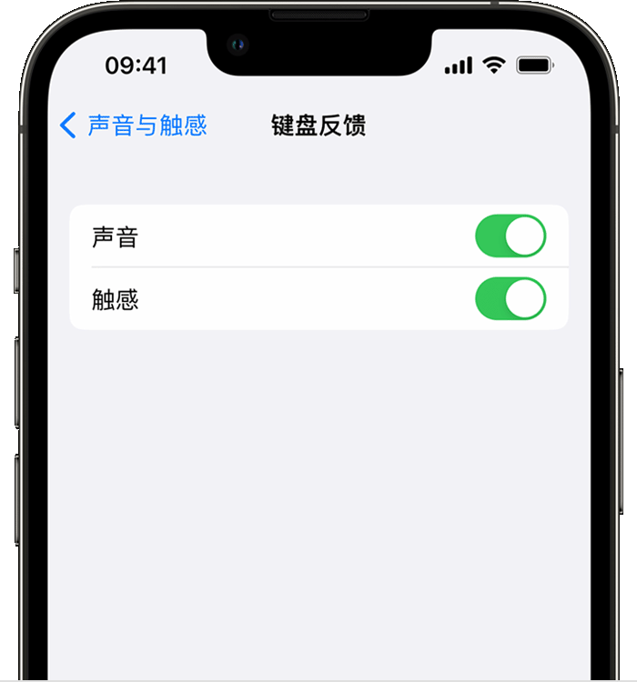 城固苹果14维修分享iPhone 14 系列机型如何开启键盘声音或触感反馈 