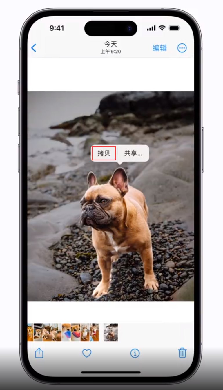 城固苹果手机维修分享 iOS 16 自带一键抠图功能 