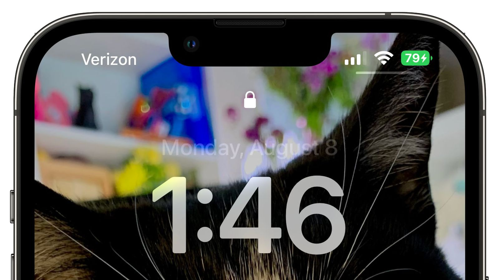 城固苹果手机维修分享iOS 16 beta 5 支持状态栏显示电池百分比，如何开启？支持哪些机型 