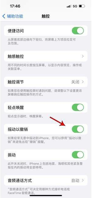 城固苹果手机维修分享iPhone手机如何设置摇一摇删除文字 