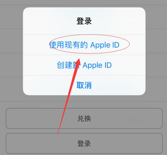 城固苹果手机维修分享两台iPhone设备可以同时登录一个Apple ID吗 