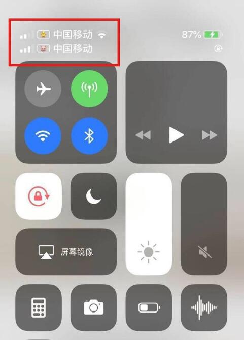 城固苹果手机维修分享为 iPhone 12 双卡设置标签 